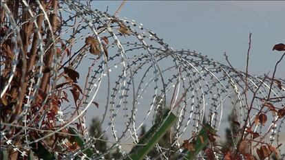 Fotograma del documental Philoxenia. Concertina en un campo de refugiados en Grecia.