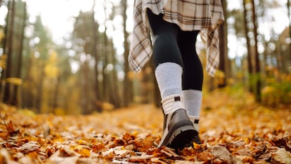 Estos calcetines de lana merina no forman ampollas. GETTY IMAGES.