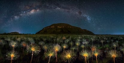 Fotografia ganhadora na categoria: Long Exposition. Parque Nacional da Chapada dos Veadeiros, Brasil.