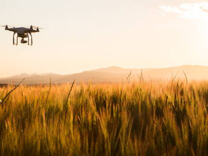Los drones buscan trabajo en las compañías de seguros