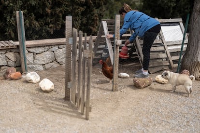 Huevos Cataluña
