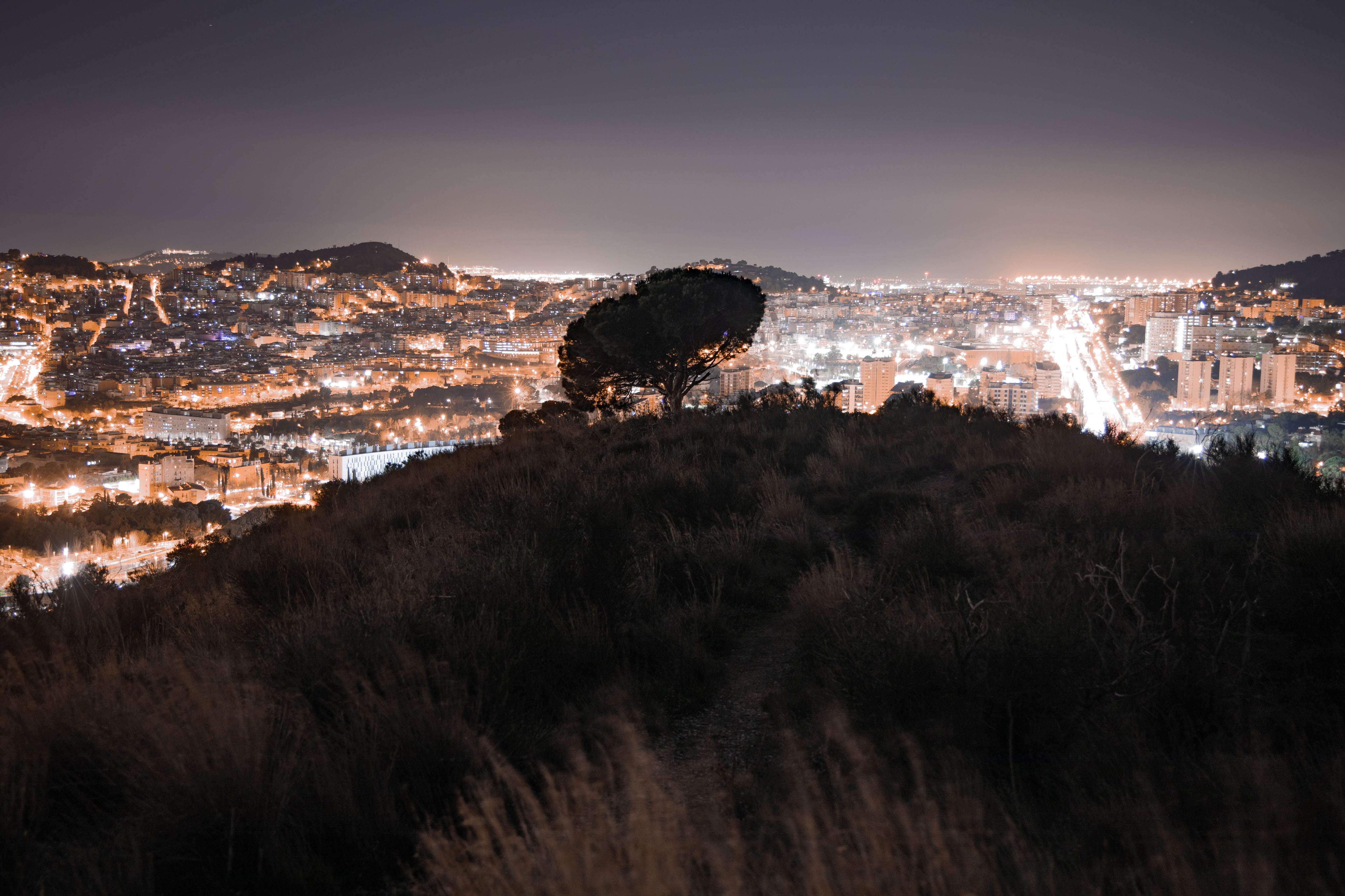 Las luces de la ciudad están adelantando la primavera y retrasando el otoño