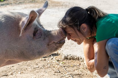 Laura Luengo con uno de los cerdos del santuario.