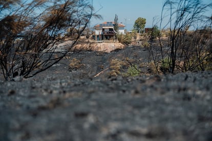 Ceniza del incendio originado ayer en Méntrida, en el municipio de Casarrubios del Monte, este viernes.