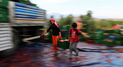 Dos refugiados sirios cargan una caja con productos agrícolas, en la provincia de Hatay, el 25 de octubre de 2014.