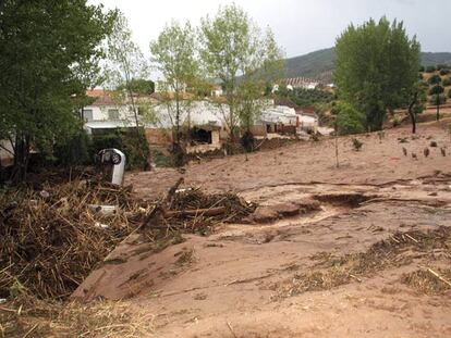 Un automóvil sobresale entre los restos de maleza arrastrados por el arroyo Peñolite.
