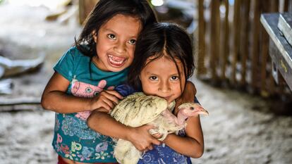 Crianças do Corredor Seco da Guatemala seguram uma galinha de pescoço pelado.