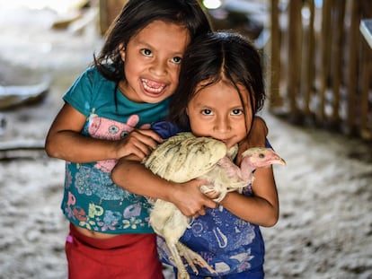 Unas niñas de la comunidad del Corredor Seco de Guatemala con una gallina peluca.
