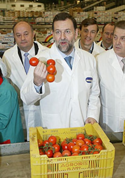 Mariano Rajoy, en una cooperativa agrícola de El Ejido (Almería).