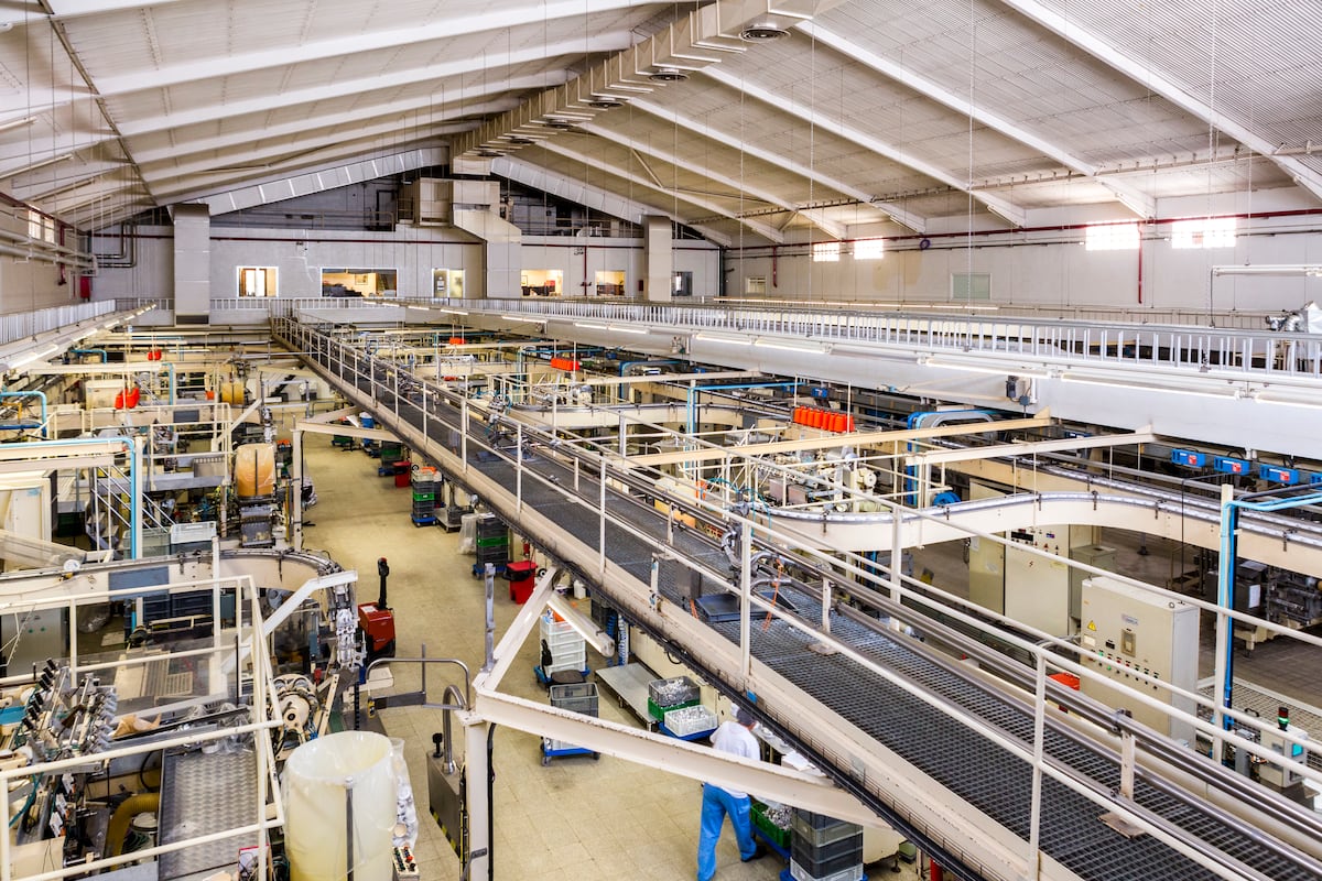 Menorca cheese maker recovers after workers take ownership