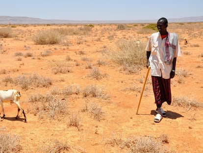 La crisis humanitaria del Cuerno de África, contada desde dentro