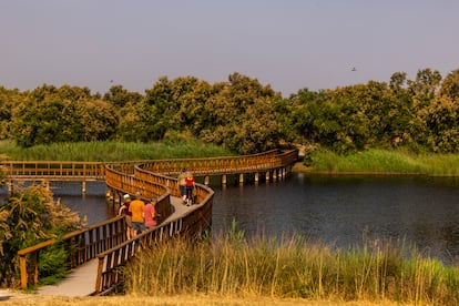 Zona de pasarelas en el parque nacional, que permanecen siempre inundadas de forma artificial, incluso en épocas de sequía.