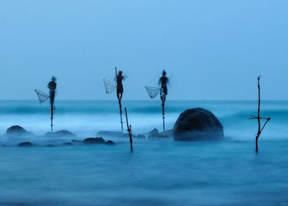 En Midigama, en Sri Lanka, todavía se emplea esta técnica tradicional de pesca.