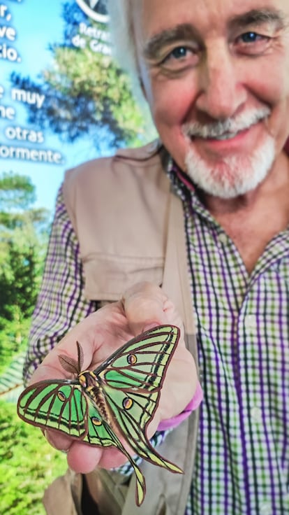 Pedro Velasco, director del InsectPark, con una mariposa isabelina.