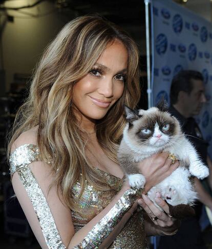Milonaria, pero cansada: a Grumpy Cat se le obligaba a hacer giras exhaustivas y a posar con famosos que a ella no le importaban nada, como Jennifer Lopez.