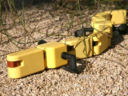 El robot salamandra.