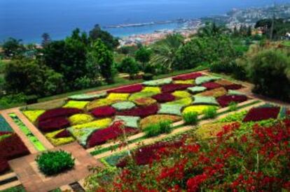 El jardín botánico de Funchal, capital de la isla portuguesa de Madeira.