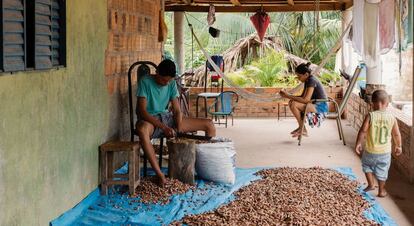 En casa de Doña Ivonete se procesan las semillas del coco babasú.