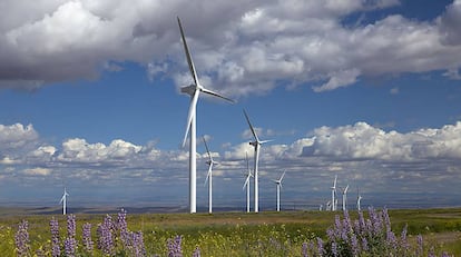 Parque de Iberdrola en Juniper Canyon para Nike. 