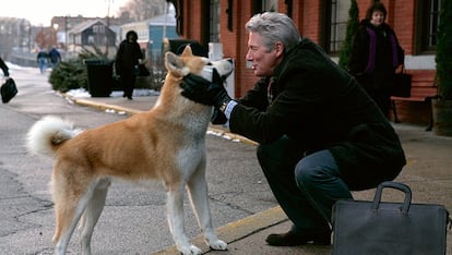 Siempre a tu lado (Hachiko)

En la inmensa categoría de películas de mascotas para llorar (Una pareja de tres, Soy leyenda), la fidelidad del precioso akita al personaje de Richard Gere se lleva la palma.