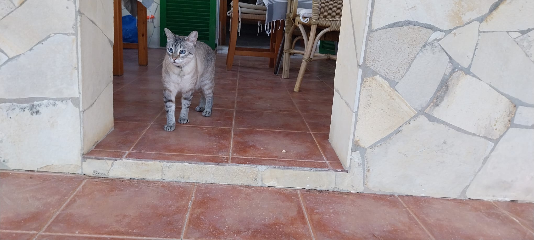 'Charly', en Formentera.