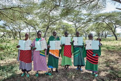 The PWC has made it possible for Maasai women to hold land titles, something that has never happened before. Pictured here, women hold their certificates in the Longido District of Tanzania, on 5 June, 2024.