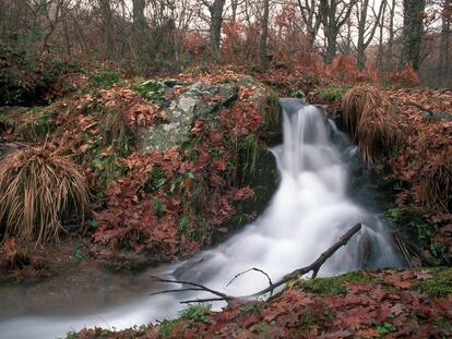 <i>En selva de inquietudes</i> contiene una poesía reflexiva que escruta lo inescrutable.