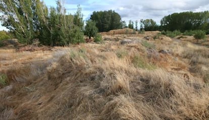 Imagen de 'Parque fluvial abandonado', de Lara Almarcegui.