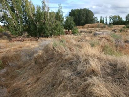 Imagen de 'Parque fluvial abandonado', de Lara Almarcegui.