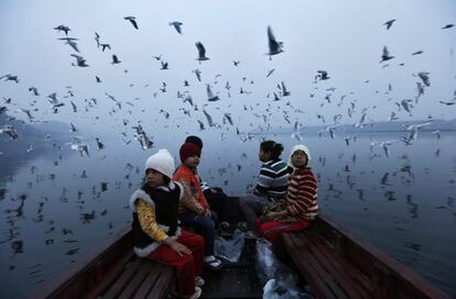 Aves migratorias alzan el vuelo ante unos niños que navegan en una barca por el río Yamuna en India durante el Makar Sankrati, festival que celebra el día en que el sol comienza su recorrido hacia el hemisferio norte