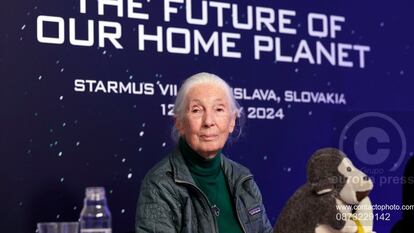 Jane Goodall en la rueda de prensa de apertura del VII Festival Starmus 2024.