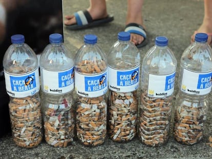 Recolha de bitucas nas praias fluviais de Lousã.