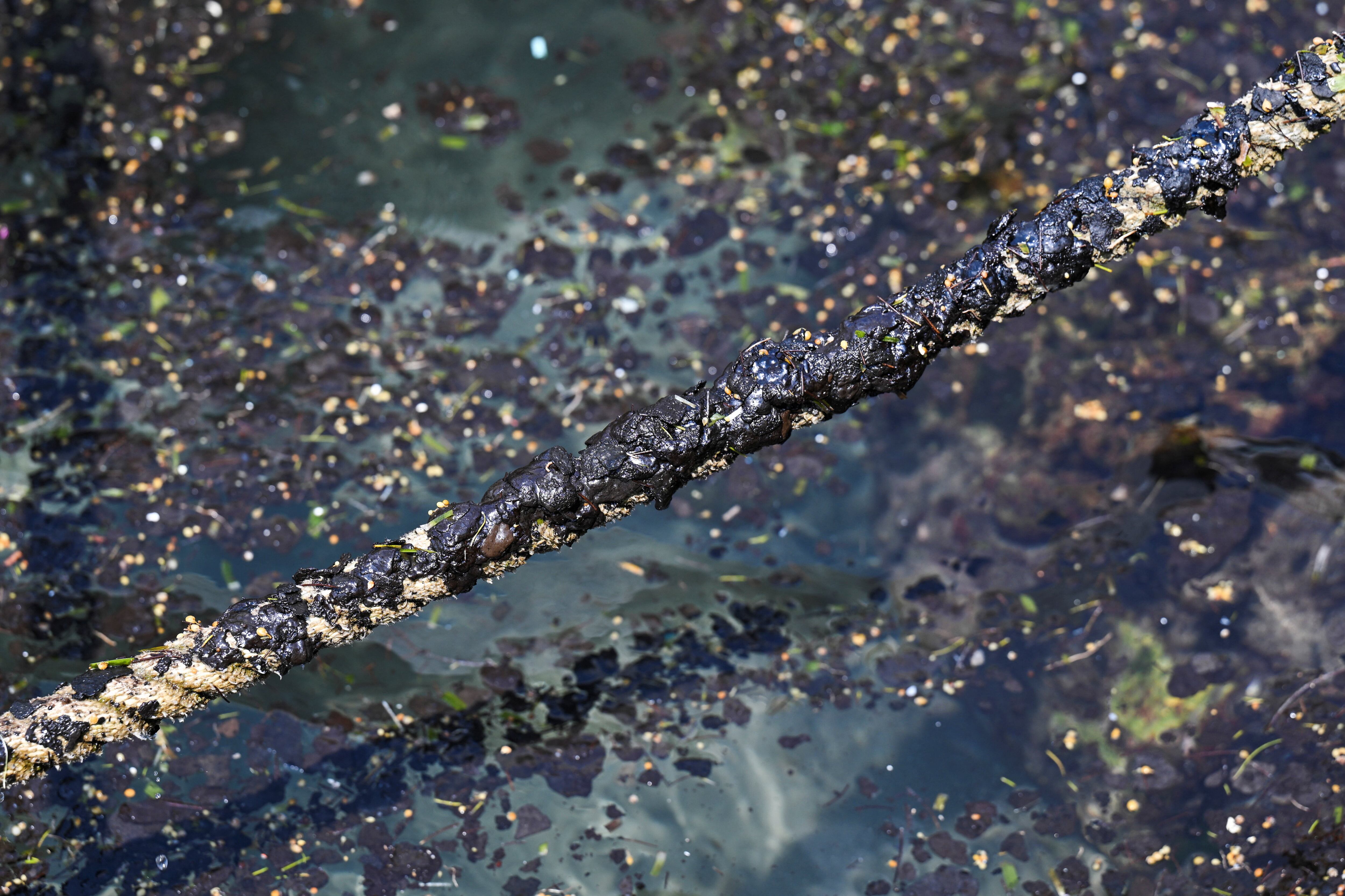 La Marina identifica un barco y “emanaciones naturales” como causantes del derrame del Golfo de México