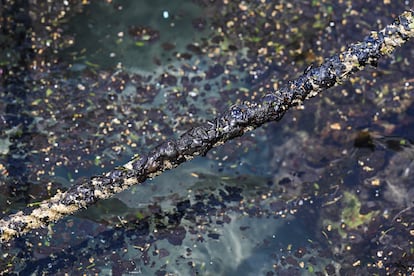La Marina identifica un barco y las emanaciones naturales como causantes del derrame del Golfo de México