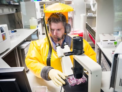 Un investigador trabaja en un instituto de virología alemán que busca una vacuna contra el coronavirus.