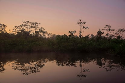 Bia Recuaté, que es el nombre de la comunidad que habita el pueblo yuqui, parece ser un lugar sin tiempo y con un movimiento constante. Es un territorio muy rico en flora y fauna que protegen y valoran. Pincha en la imagen para ver toda la fotogalería.