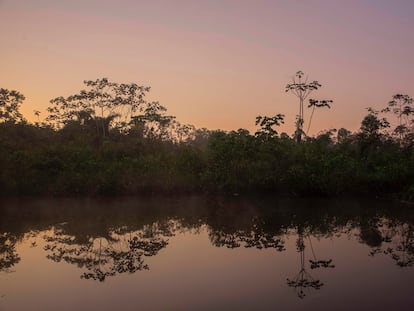 Bia Recuaté, que es el nombre de la comunidad que habita el pueblo Yuqui, parece ser un lugar sin tiempo y con un movimiento constante. Es un territorio muy rico en flora y fauna que protegen y valoran.