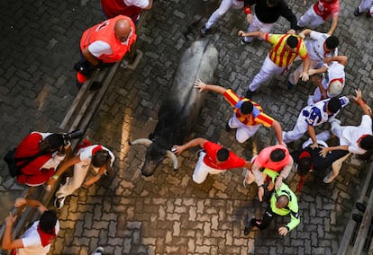 Uno de los toros de José Escolar, durante el sexto encierro.