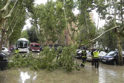 Los bomberos han efectuado múltiples salidas por esta inclemencia meteorológica para atender inundaciones en vía pública, saneamiento de fachadas y caídas de ramas. En la imagen, los bomberos intentan quitar una rama caida en la Avenida de Cantabria, en el barrio de Alameda de Osuna.