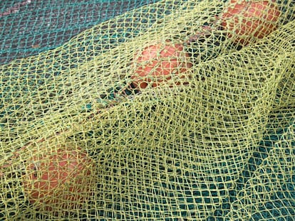 No se puede actuar sin red