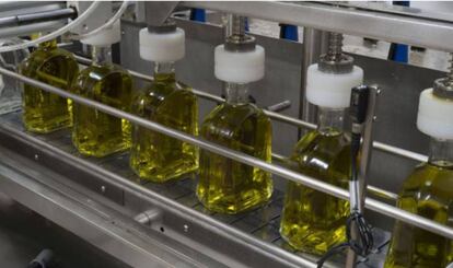 Bottles of extra virgin olive oil.