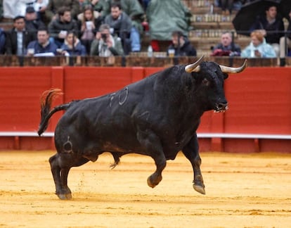 Toro de La Palmosilla, lidiado en Sevilla en la Feria de Abril de 2018.