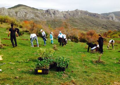 Voluntarios de Gas Natural Fenosa reforestando la Sierra de Guadarrama con especies autóctonas.