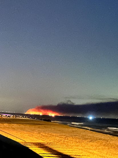 The Junta de Andalucía asks for more help from the Government to extinguish the Doñana fire that already affects 400 hectares | News from Andalusia