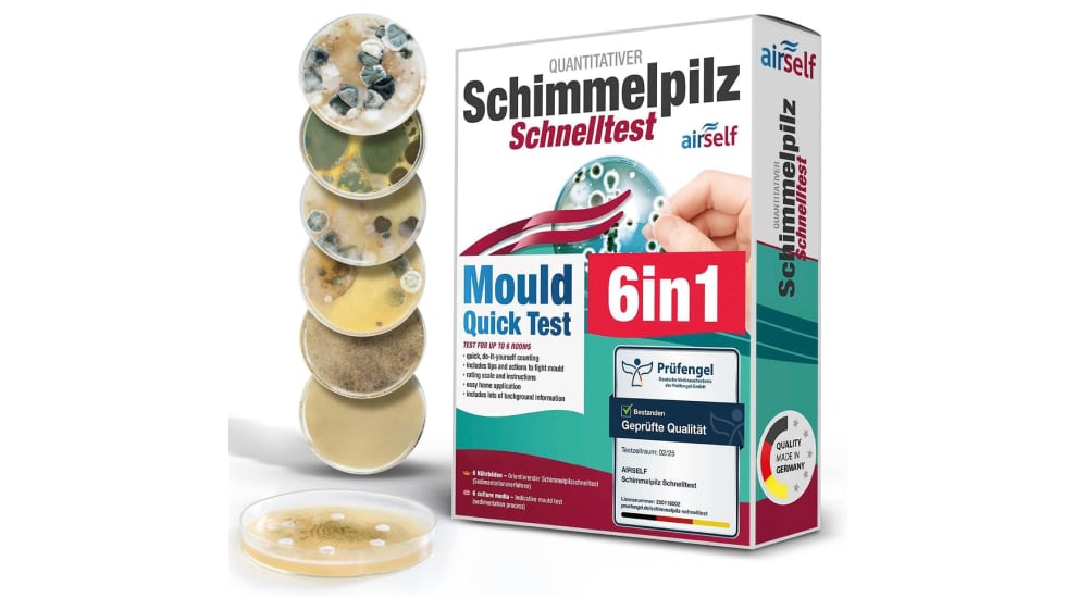 Test de moho en casa barato (incluye seis unidades).