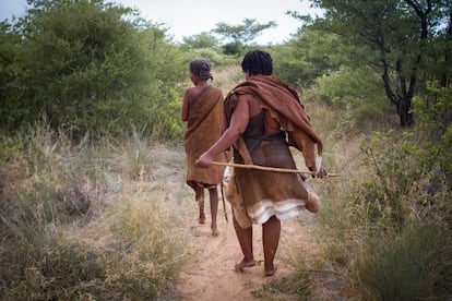 Los bosquimanos son el pueblo más antiguo del sur de África. Se calcula que unos 100.000 habitan tierras de Botsuana, Namibia, Sudáfrica y Angola desde hace 20.000 años y poseen saberes y tradiciones antiquísimas y muy valiosas. Son cazadores y recolectores nómadas, y alrededor de unos cinco mil vivieron hasta finales del siglo XX en la Reserva Central del Kalahari, una superficie protegida de 52.800 kilómetros cuadrados situada en Botsuana. En la imagen, dos mujeres bosquimanas llamadas Tata y Gakepagape pasean por el bosque cercano a Ghanzi, un pueblo situado a pocos kilómetros de la Reserva Central del Kalahari, en Botsuana.