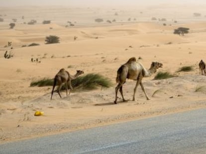 Mauritania  ‘road trip’ por la carretera del desierto.