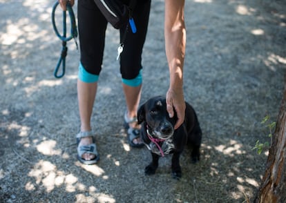 La perrita Oreo junto a su dueña.