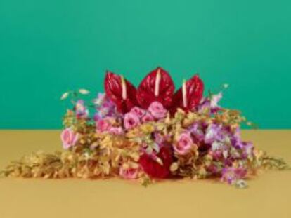 Taryn Simon: “La fotografía es un medio peligroso, verbaliza la certeza”