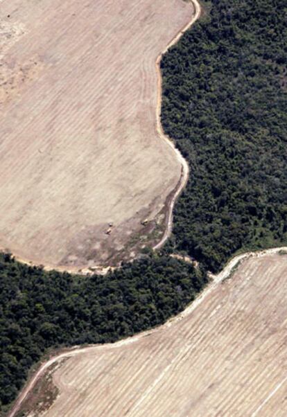 Zonas de selva convertidas en cultivos rodean la Amazonia todavía virgen en el Estado de Mato Grosso (Brasil).